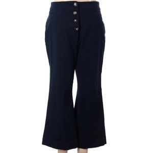 Ann Taylor Factory Navy Blue Crop Wide Leg pants. Button Up Size 4.
